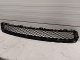 Lower Grille